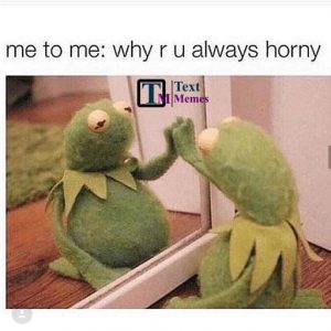 Can You Pass Twitters Horny Test?