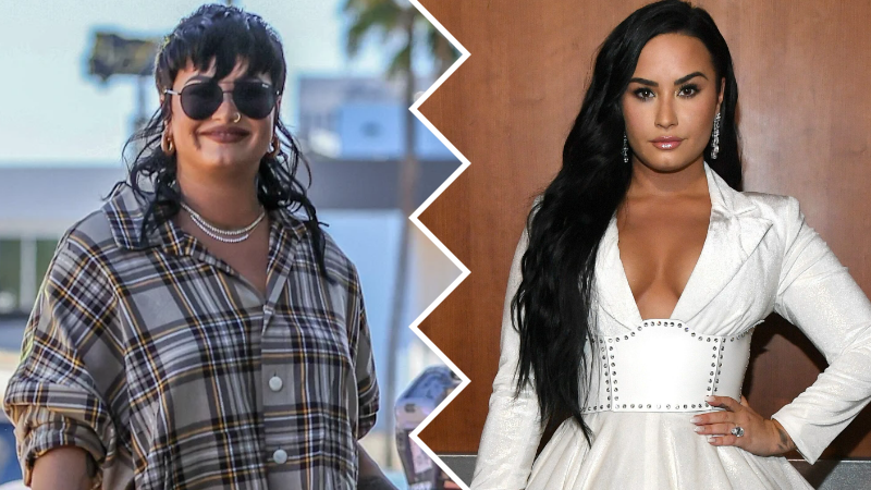 Demi Lovato Latest Look Is Not A Good One, Despite The Wokesters Cheering Them On