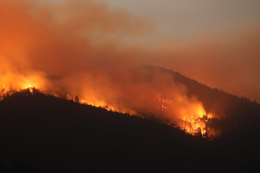 High Idiot Starts Massive Wildfire